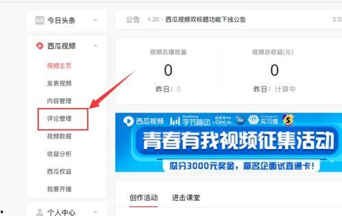 头条我的评论怎么加视频,打造个性化头条内容