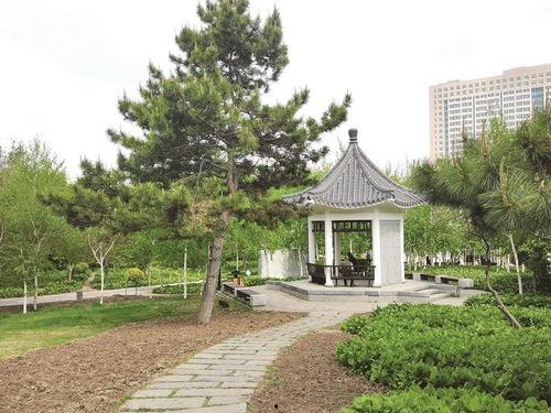 今日头条公园在哪里,揭秘今日头条周边的公园宝藏