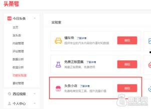 头条小店有店铺入口吗,轻松开启电商之旅