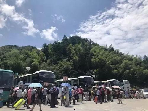 临港小山村新闻头条,乡村振兴战略下的美丽蜕变”