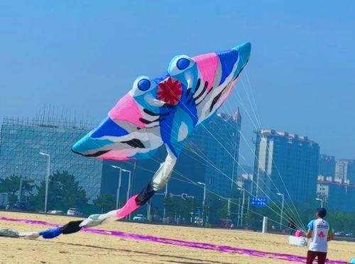 风筝全集在线观看,穿越时空的青春记忆