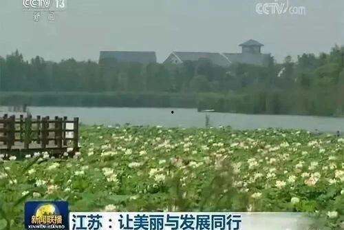 潘安湖头条,探寻湖光山色中的生态奇迹与人文风情