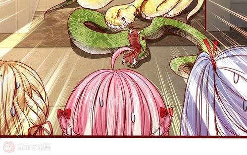 陛下也吃瓜,揭秘宫廷中的趣味生活