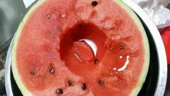 nsc洋洋吃瓜,揭秘nsc洋洋吃瓜背后的故事与真相