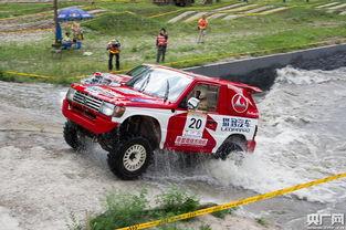 猎豹每日大赛,速度与激情的竞技盛宴