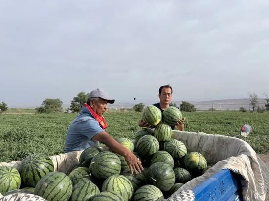 横店吃瓜日常,揭秘影视城里的娱乐圈风云