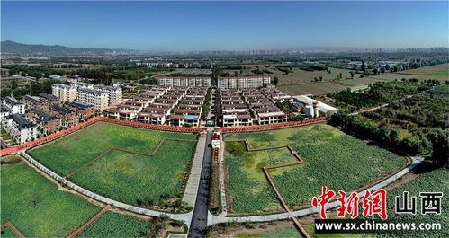 晋源区枫桥镇新闻头条,聚焦乡村振兴新篇章