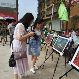 公园多人吃瓜事件,多人围观吃瓜引发热议