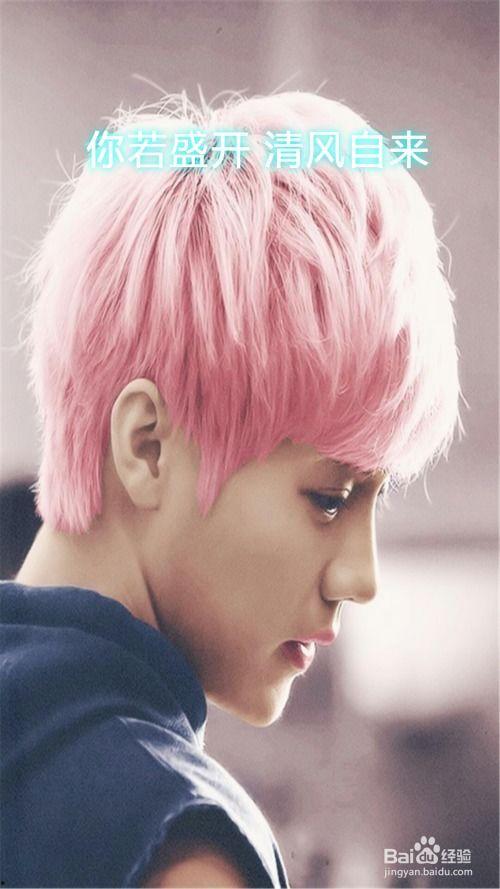 找明星鹿晗,闪耀星途，青春偶像的璀璨光芒