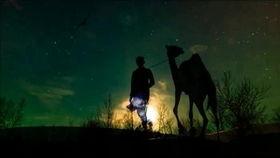 网红沙漠骆驼学生版歌曲,青春旋律中的沙漠传奇